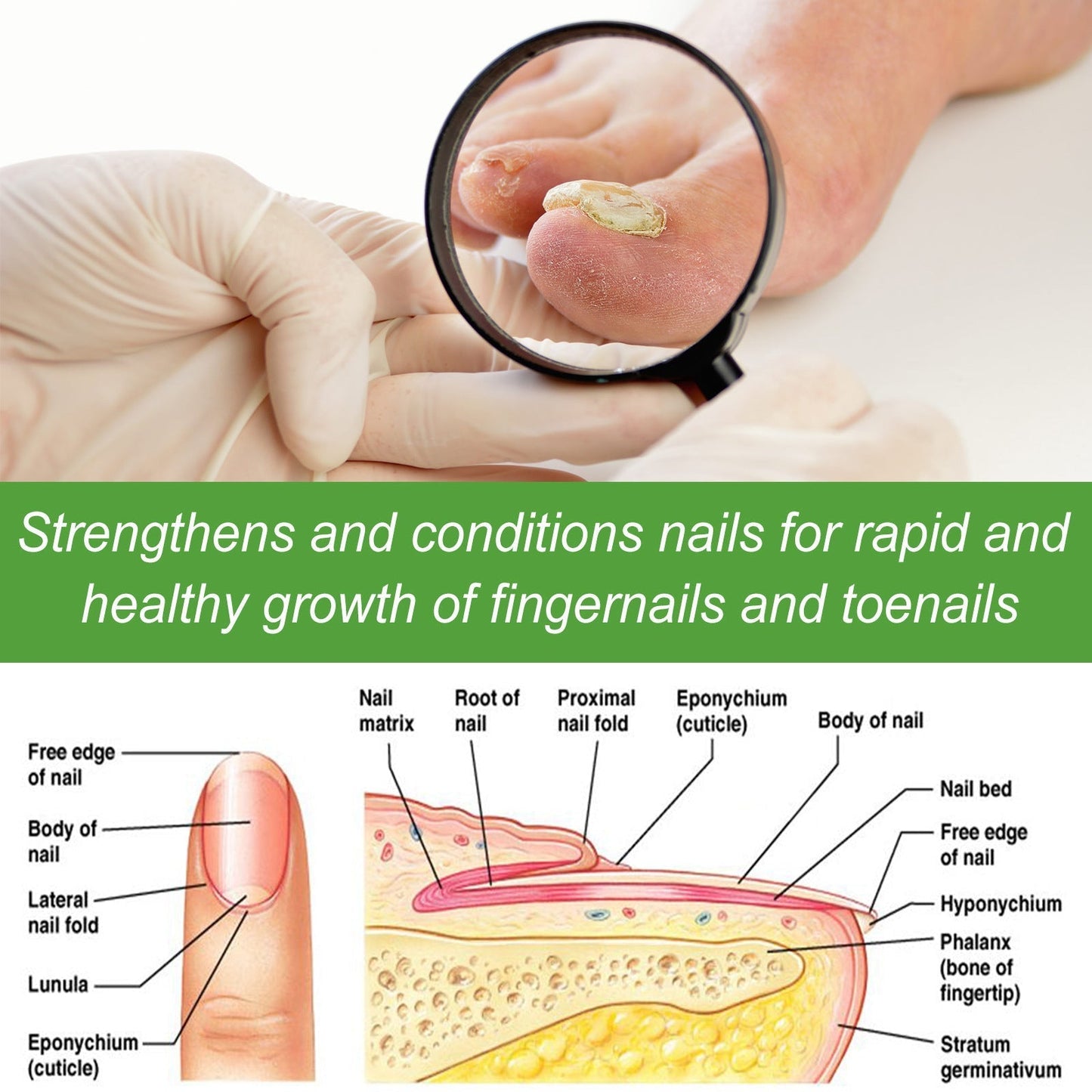 Roller soin ongles solution épaississante anti-fragilité 10ml pour renforcer et réparer ongles fragiles