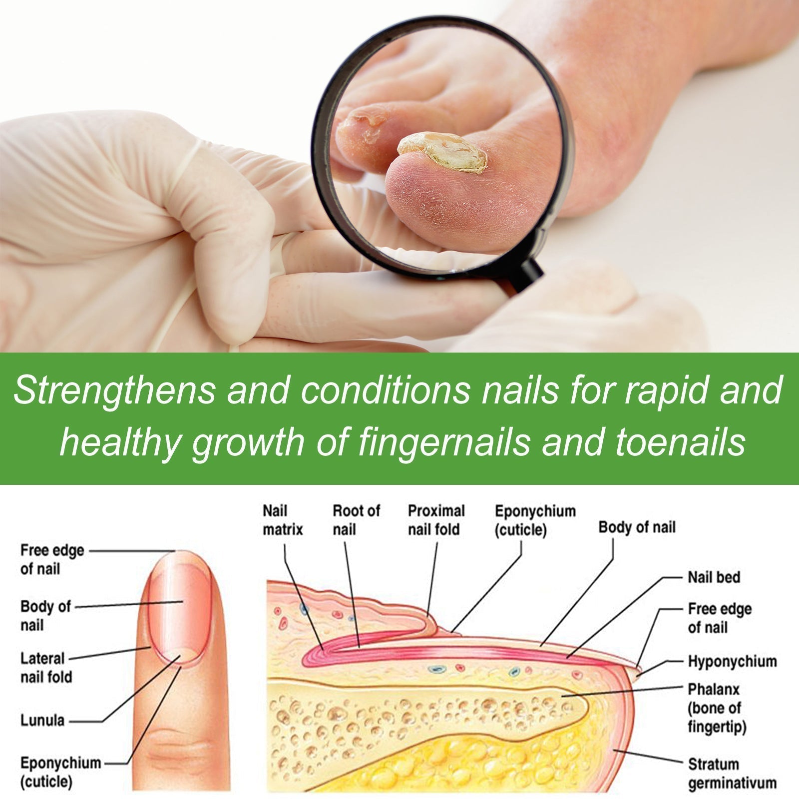 Roller soin ongles solution épaississante anti-fragilité 10ml pour renforcer et réparer ongles fragiles